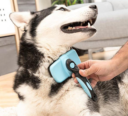 Pet Brush